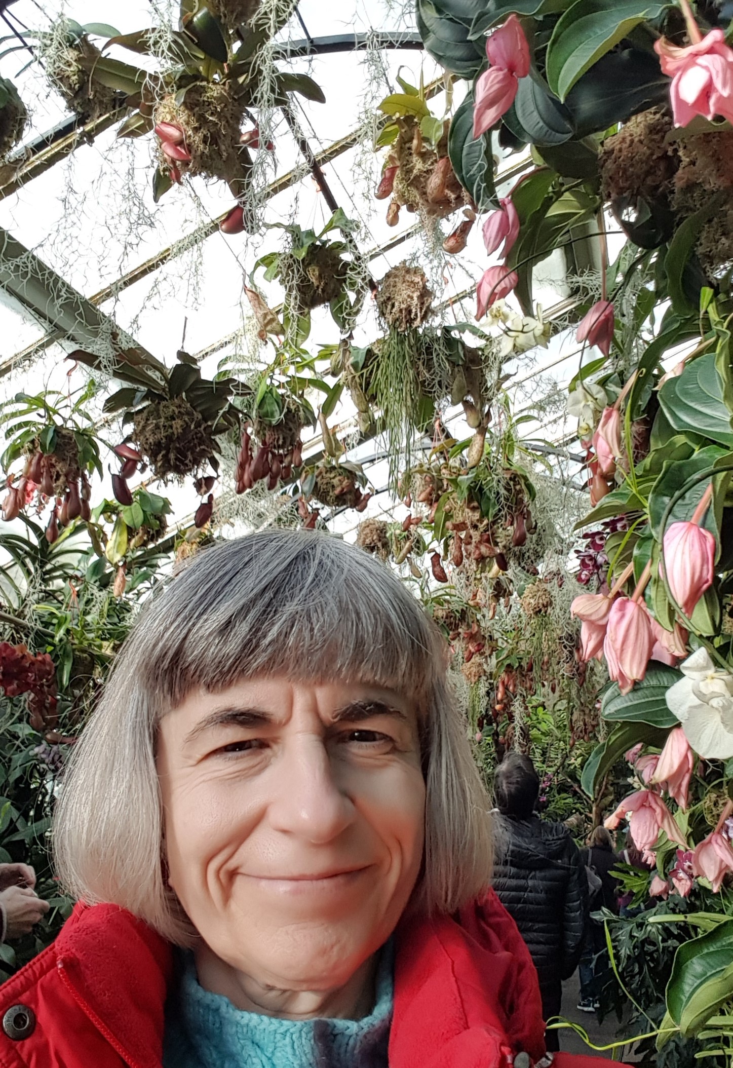 Pink Orchids And Me At Kew